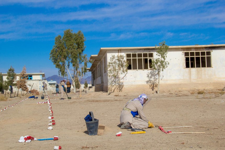 Manual deminer kneels on the ground working just outside a secondary school