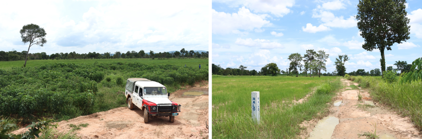 Two fields in Cambodia side by side