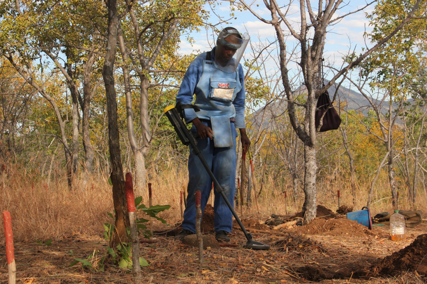 A deminer uses a metal detector in mine marked field in Rushinga 