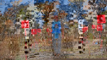 Duke of Sussex walking through a minefield in Angola