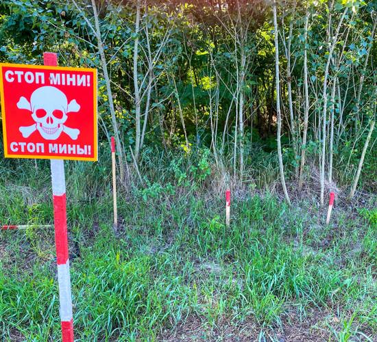 A red mine warning sign stands in front of mine marking sticks in the grass