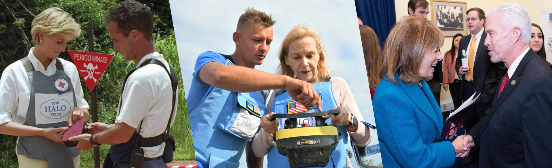 A collage of various HALO USA Ambassadors attending formal events and conducting field visits