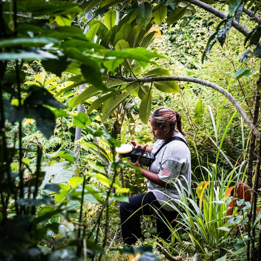 A deminer uses a device in the forest to complete survey operations in Solomon Islands