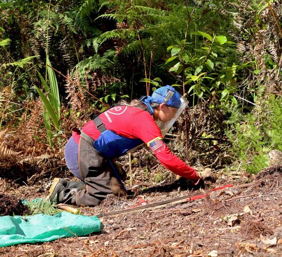Katerine Ramirez, a HALO staff member carries out demining activities on the ground