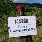 Link to Landmine free 2025