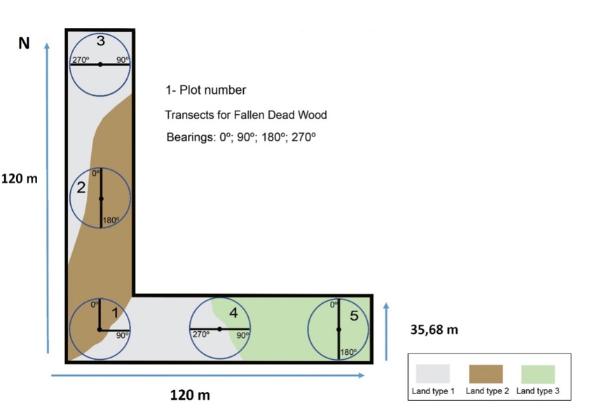 An example of a sample unit used to survey the forest
