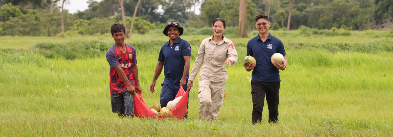 Four adults smiling in a field of knee-high green grasses as they carry a crop of melons