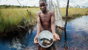 Angola Invests 60 million dollars to clear landmines in Okavango