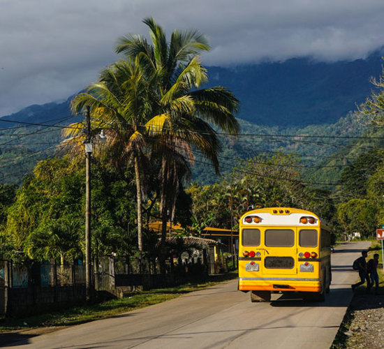 A bus drives down a road with palm trees on the side walk