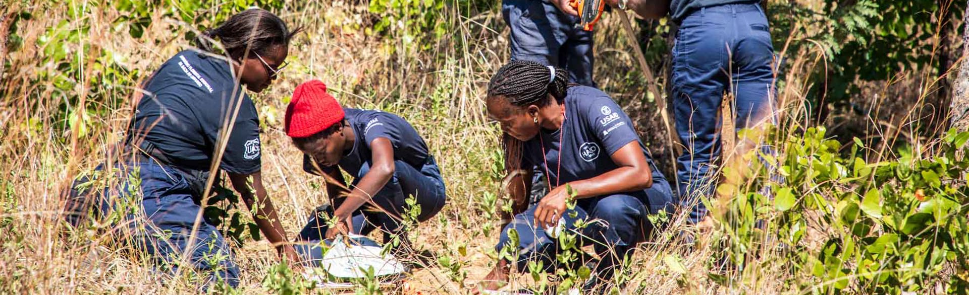 Specialist technicians conducting the forestry survey