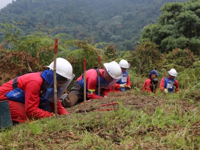 Link to May 8, 2024 | 42 SENATORS SIGN VAN HOLLEN-YOUNG LETTER SUPPORTING HUMANITARIAN DEMINING