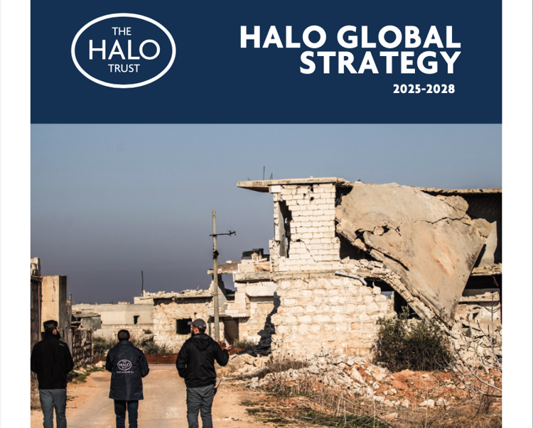 Front cover of the HALO global strategy plan 2025 to 2028