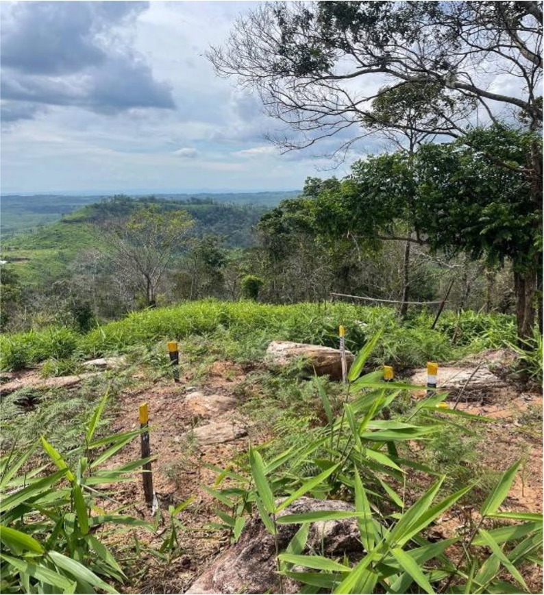 a cluster of yellow and white sticks marks the locations mines and projectiles found by HALO at the summit of the valley.
