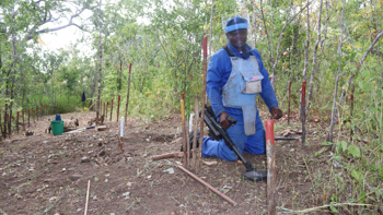 House Budget Includes $271 million for humanitarian demining