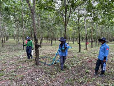 HALO staff stand in a forest with two mine warning signs behind them