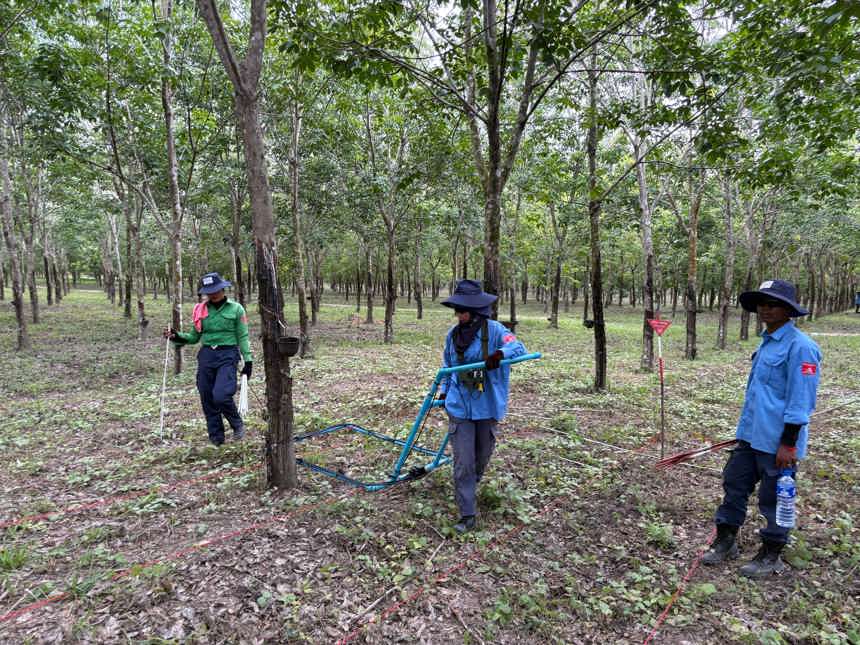 HALO staff stand in a forest with two mine warning signs behind them