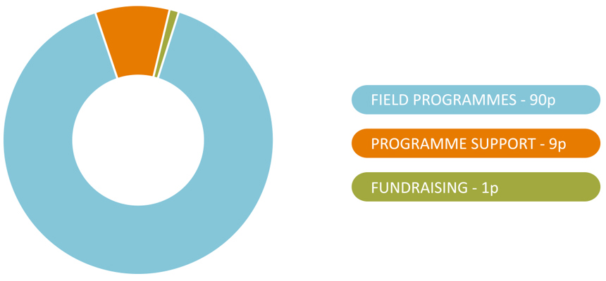 A pie chart demonstrating how each penny of your donation is spent