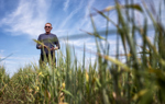 A man in sunglasses holds a plant stalk in a field.