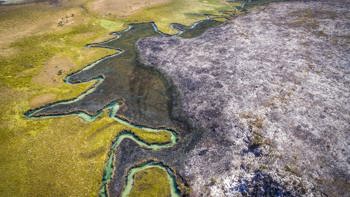 A Aerial shot of the Okavango Delta