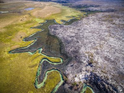 A Aerial shot of the Okavango Delta