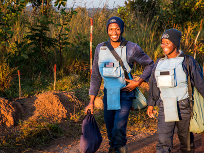 HALO Angola landmine clearance staff, walking through a minefield smiling