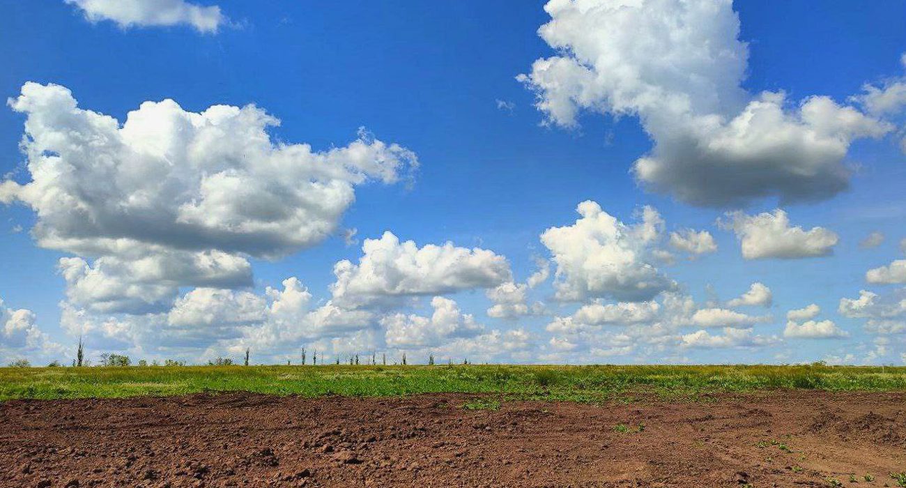 Landscape shot of the soil and sky