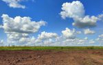 Landscape shot of the soil and sky