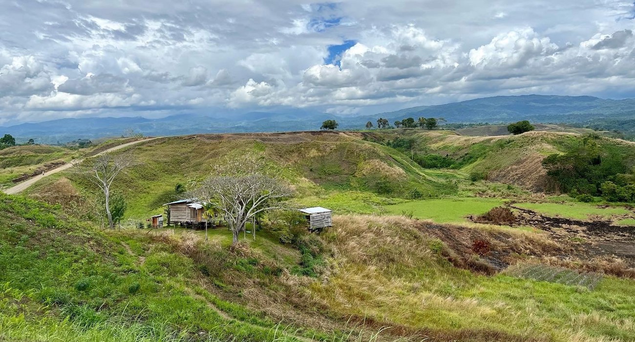 The never-cleared site of the Battle of Edson's Ridge in September 1942, Guadalacanal