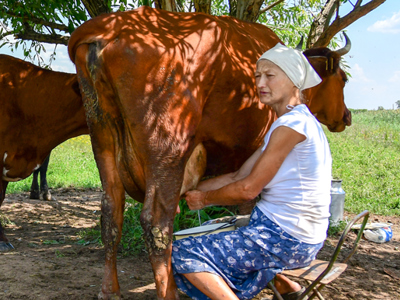 Link to Life on the frontline in Ukraine