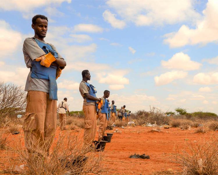 HALO deminers stand in line for battle area clearance with small black buckets in front of them