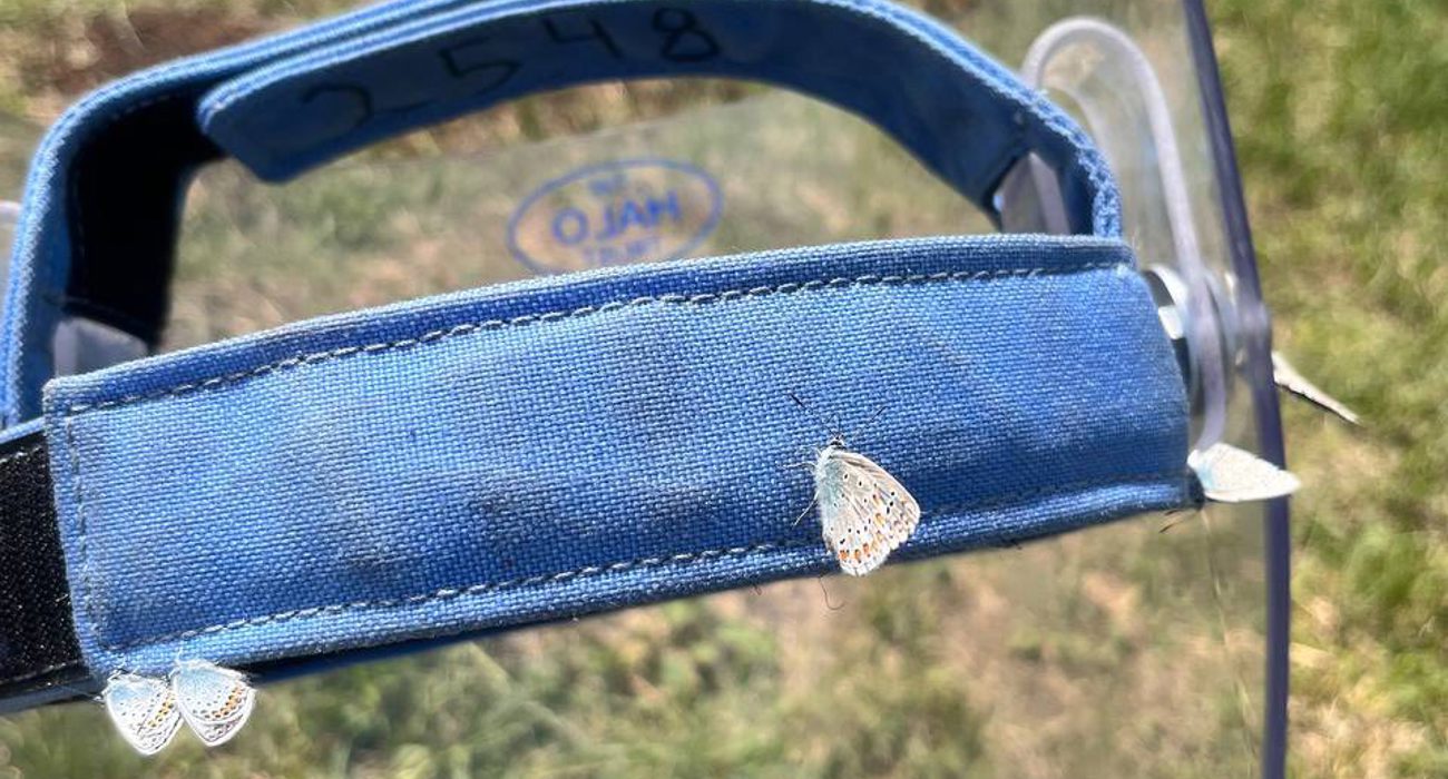 A HALO demining visor is held in the middle of a field