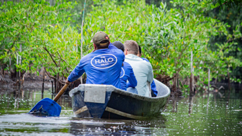 Celebrating World Environment Day: Three stories of restoring nature and revitalizing communities