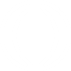 White globe icon