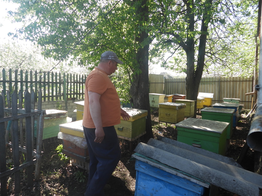 Beekeeper with his hives in Ukraine