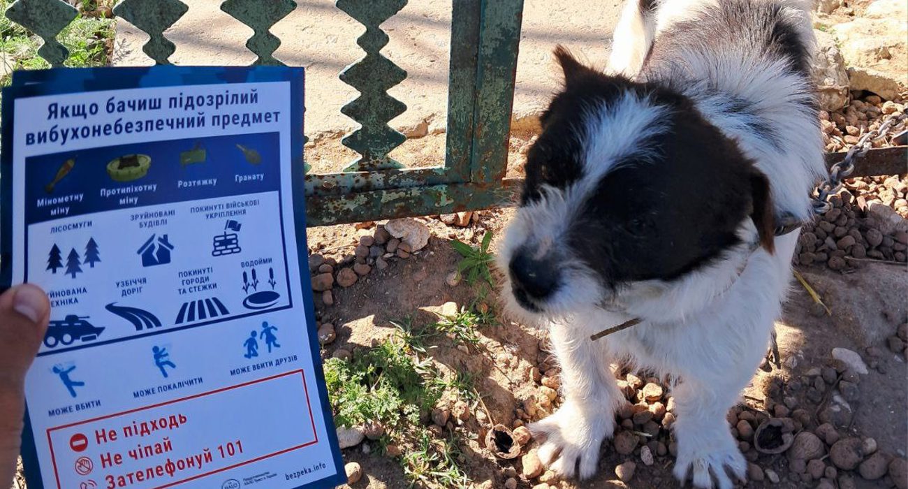 A dog stand next to a person holding a mine poster 