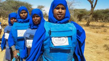 Reaching for the top in Somaliland